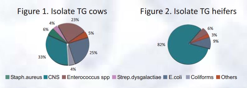 grafico 08 publicacion servet talavera - Efficacy of vaccination on mastitis epidemiology.Field study