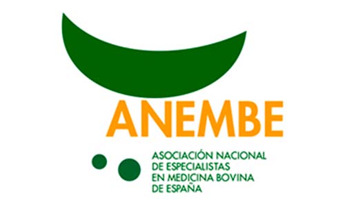 logo anembe servet talavera - Sitios de interés